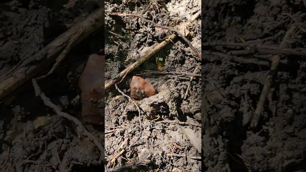 Deer Love This Stuff 🦌🦌🦌