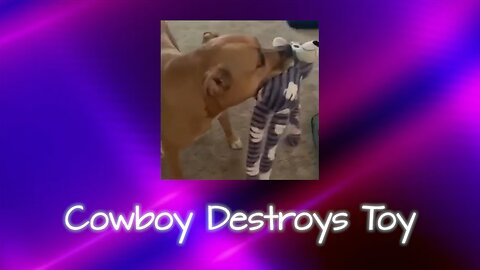 Cowboy Destroys Toy