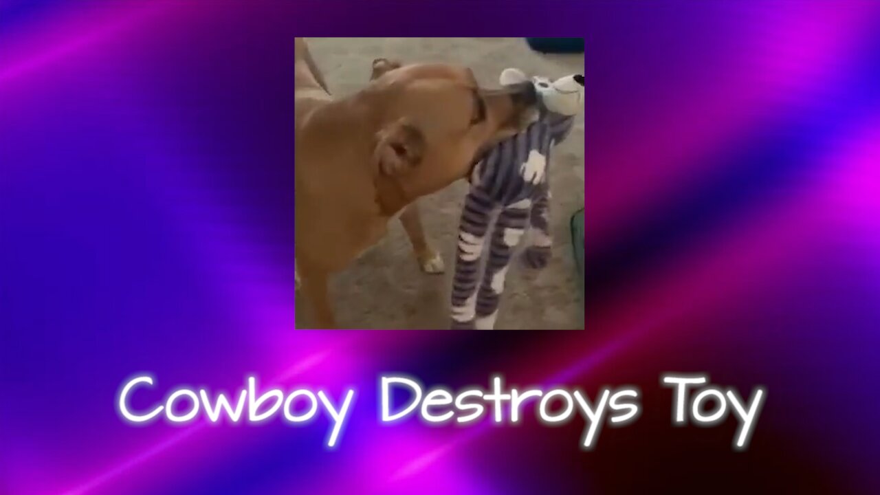 Cowboy Destroys Toy