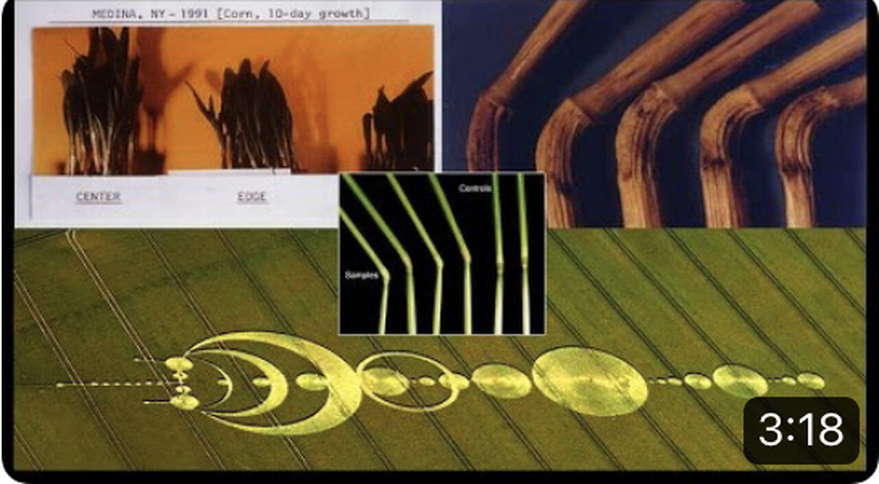 The Truth About Crop Circles