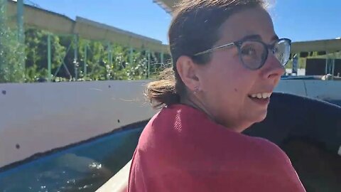 Water attractie Mondo Verde boomstammen