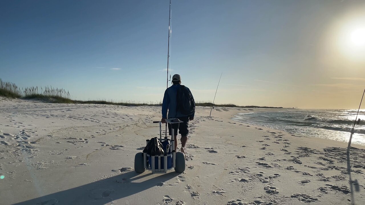 Beach Fishing for Tacos!