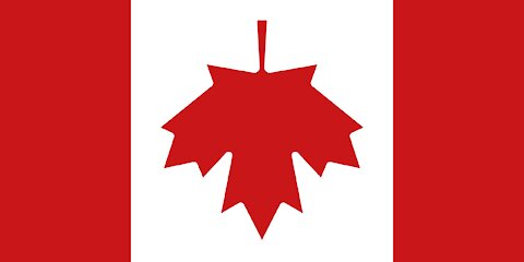 Canadian Covid Care Alliance - The Pfizer inoculations for covid-19: more harm than good