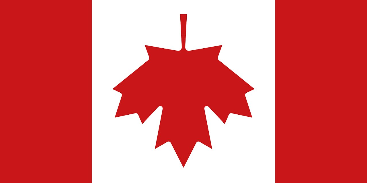 Canadian Covid Care Alliance - The Pfizer inoculations for covid-19: more harm than good
