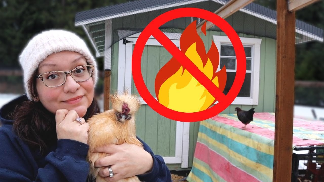 The ONLY Reason to Heat Your Chicken Coop in Winter