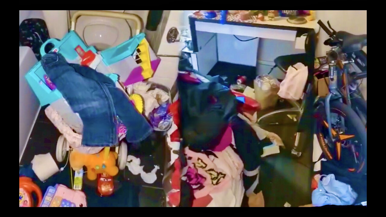 Illegal Aliens Move To New York City To Get Free Food Money Clothes Toys Shelter And Room Service