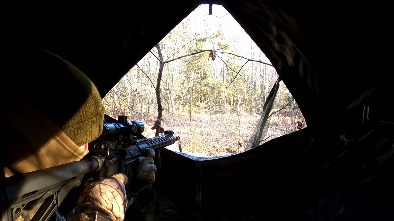 Deer Season 2022 - Day 12 - Pop Up Ground Blind