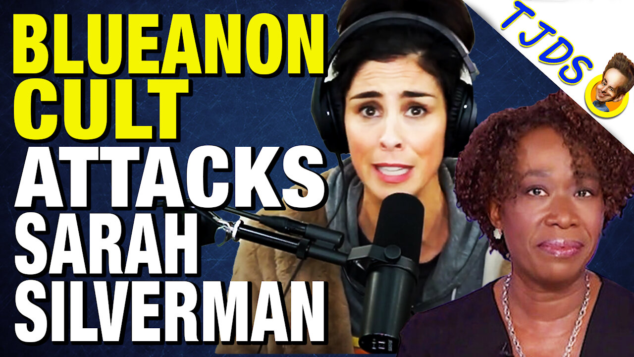 Sarah Silverman Called Racist for Criticizing Joy-Ann Reid
