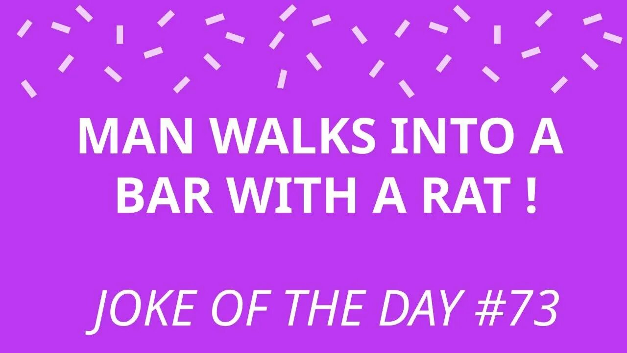 Joke Of The Day #73 - A MAN Walks Into A BAR With A RAT !