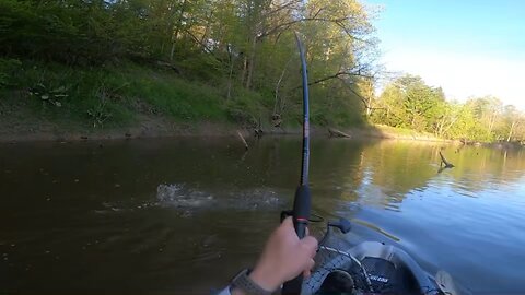 Netting The Musky (SHORT)