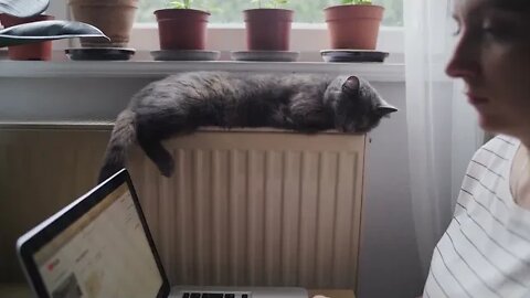 KUCING LUCU #PART 10