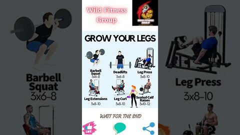 🔥Grow your legs🔥#shorts🔥#wildfitnessgroup🔥15 July 2022🔥