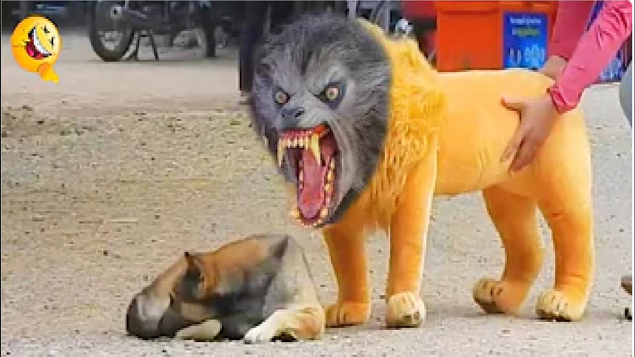 Troll Prank Dog Funny & fake Lion