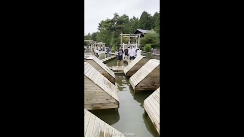 This is how the Democrat Party operate