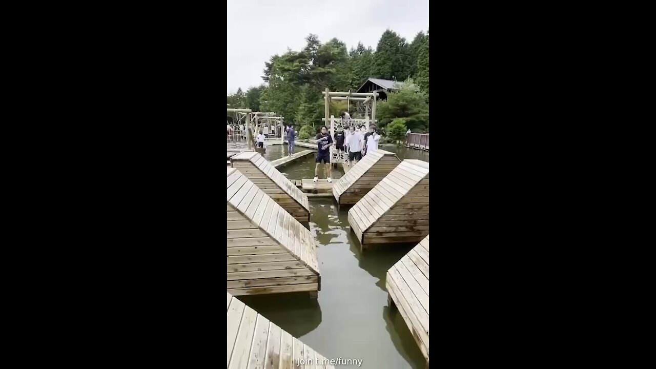 This is how the Democrat Party operate