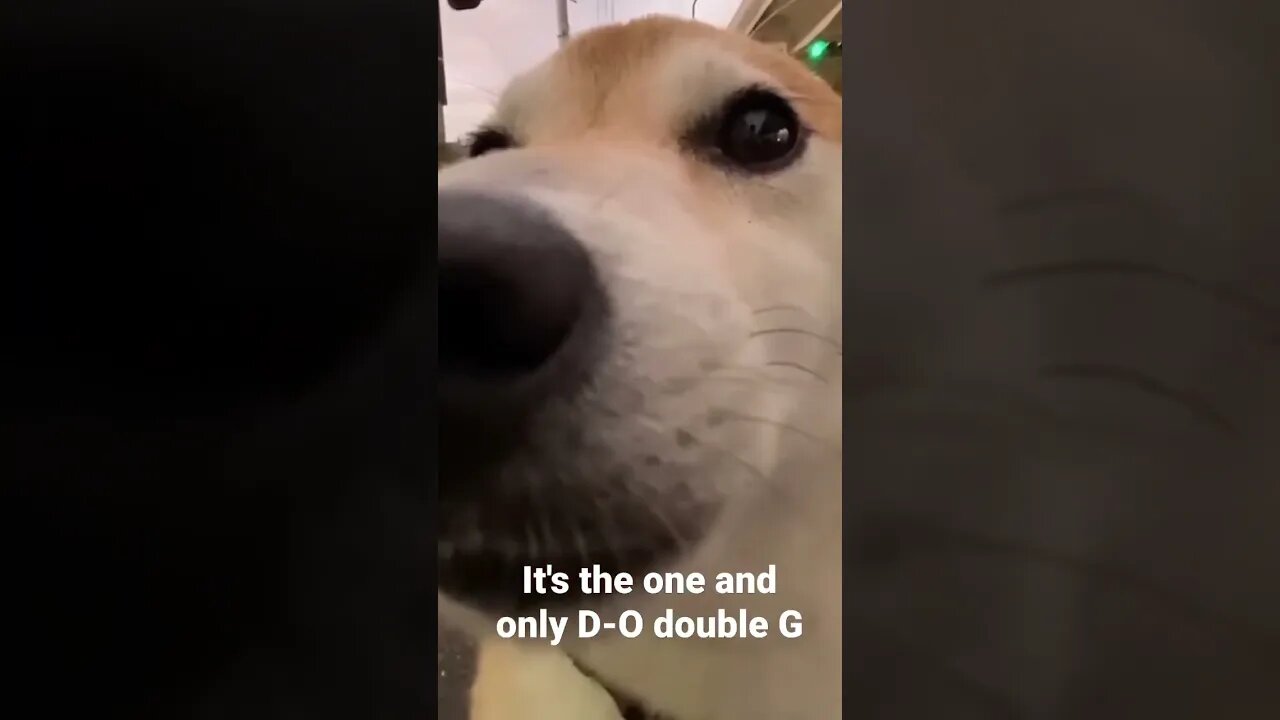 It's the one and only D-O double G...on da run