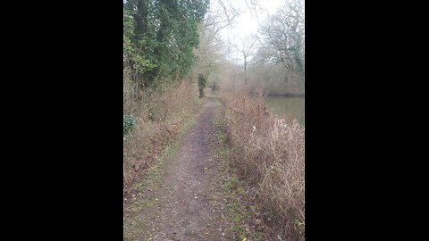 Basingstoke canal & pill boxes