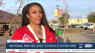 National Pan-Hellenic Council's Divine 9