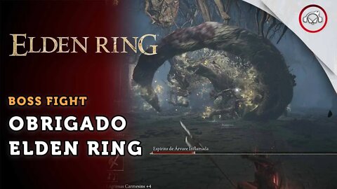 Elden Ring, Boss Fight, Obrigado Enden Ring | super dica PT-BR