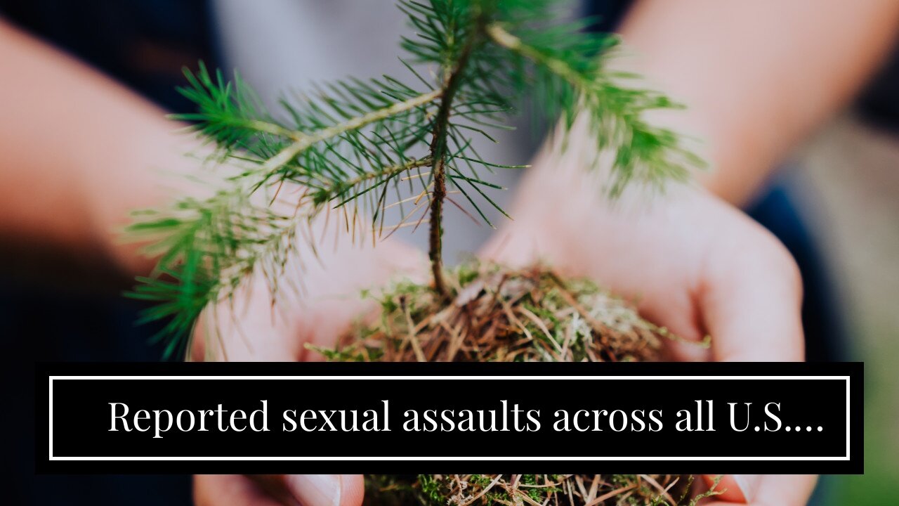 Reported sexual assaults across all U.S. military service branches up 13%