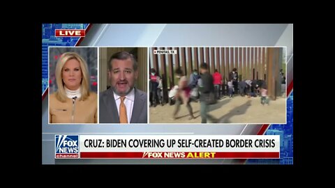 Cruz on Fox News Discusses the Crisis at the Border & Democrats Radical HR 1 Bill