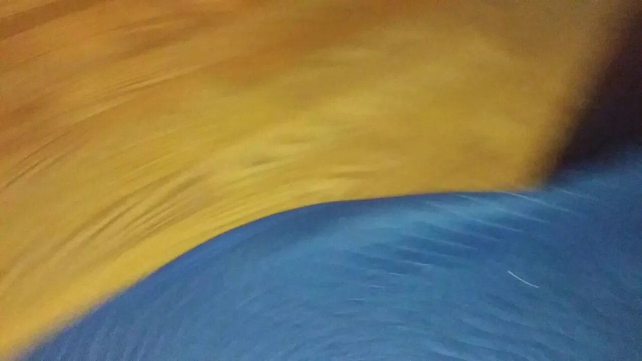 G Litter Kitchen Play Time(1)