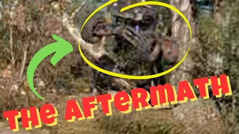 Did i KILL the Xmaxx ??? -- The aftermath --