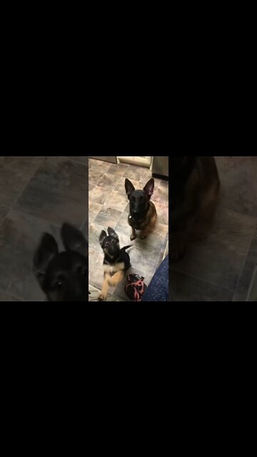 Don't Ruin This For Me Kid