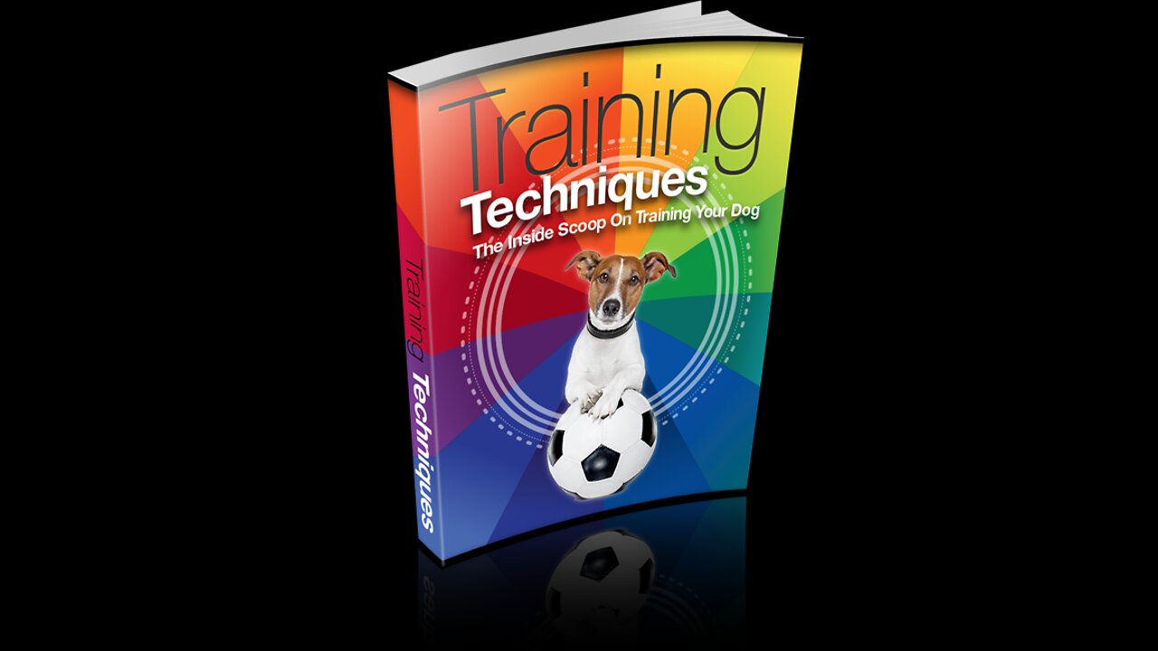 Training Techniques