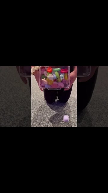 #shorts #reels #tiktok by #tinyjuniorpeanut at #activatestudio