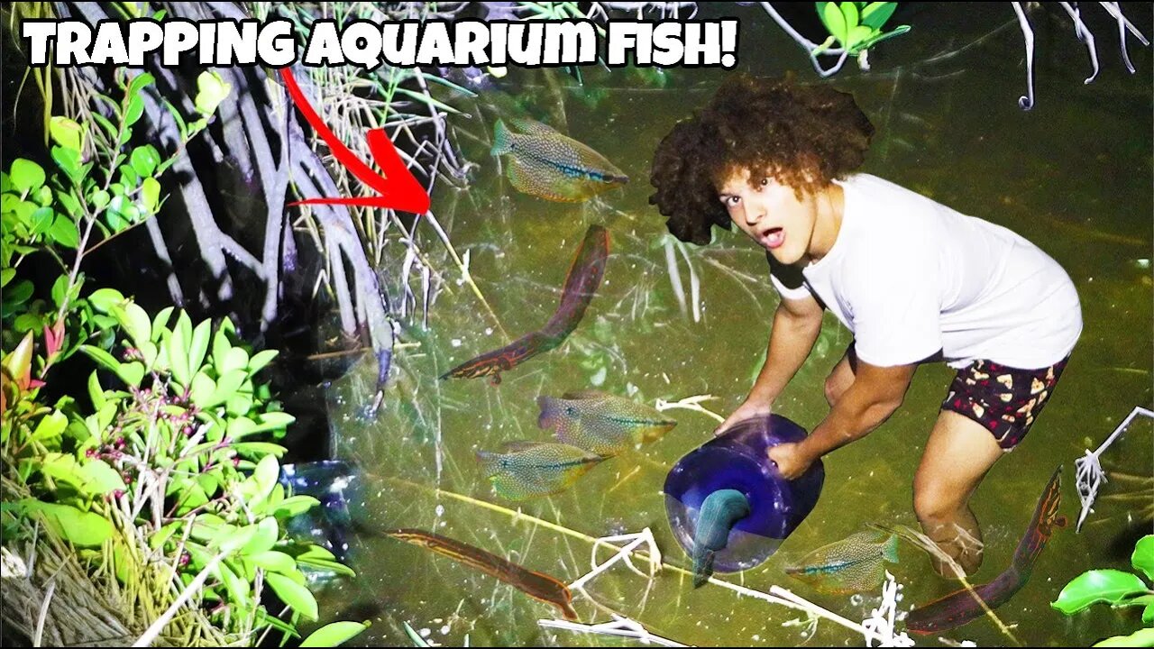 BOTTLE TRAP Catches EXOTIC FISH For My AQUARIUM!