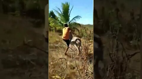 😂😂😂#shorts
