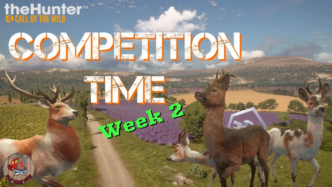 Roe Deer Week 2 - Weekend COMPETITIONS - the Hunter Call of the Wild. (4K)