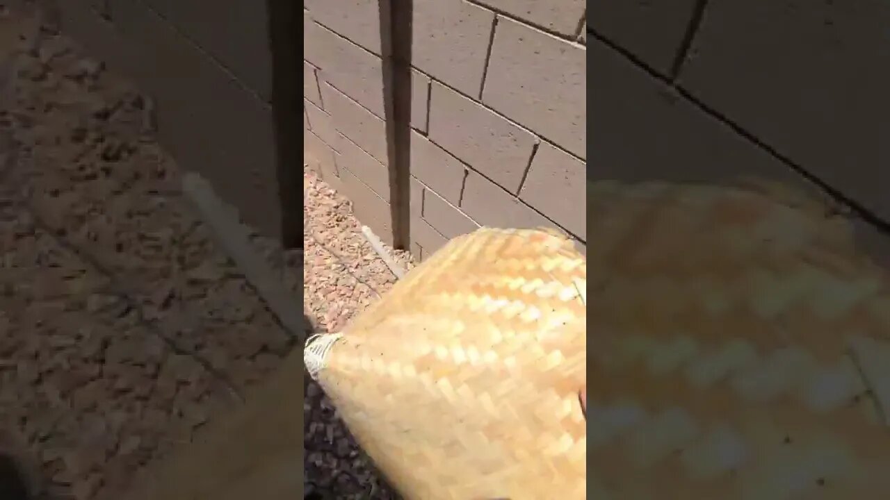 Why?