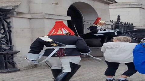 The queen's guard makes tourist jump #horseguardsparade