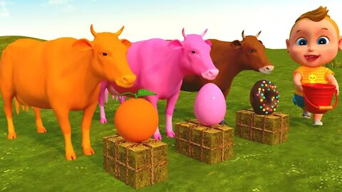 Boo kids play with colorful cows on the farm _ educational video & kids cartoons