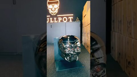 The Skull Toilet