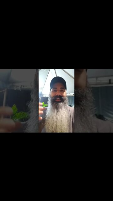 CRISTÃO: Vamos a casa do SENHOR #shorts #igreja #jesus #deus #senhor #cristão