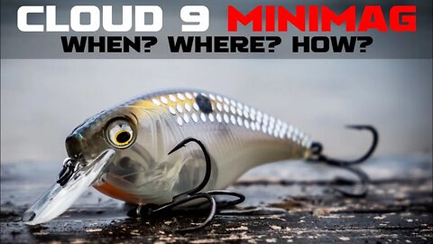 THIS BAIT is key to getting a BIGGER BITE