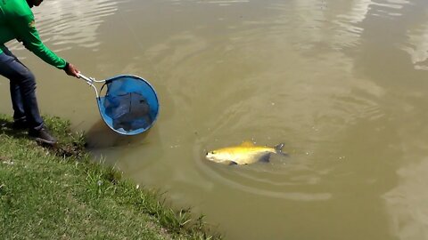Bastidores do 1º Torneio de Pesca em Alta Floresta no Pesque Pague Pantanal Parte 1