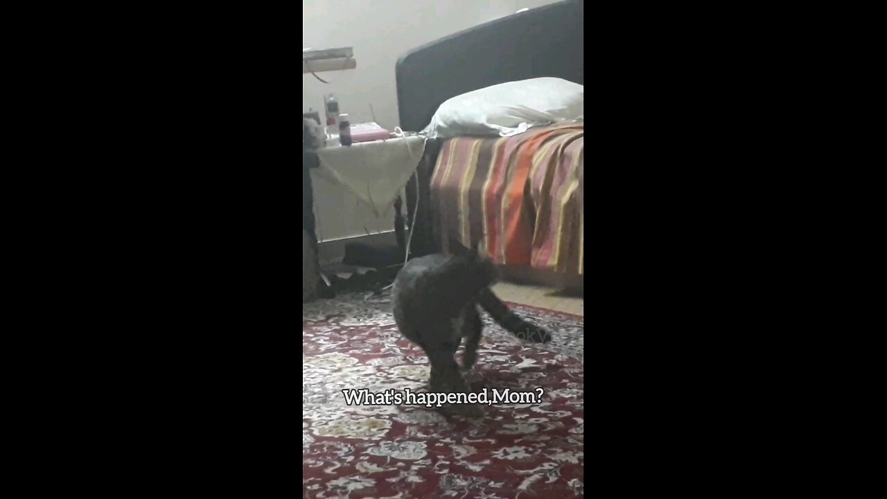 PART 1 | WHEN YOUR HOUSE IS HAUNTED BUT YOU CAN'T BELIEVE IT