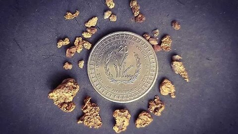 Vogus Prospectings Best Gold Finds!