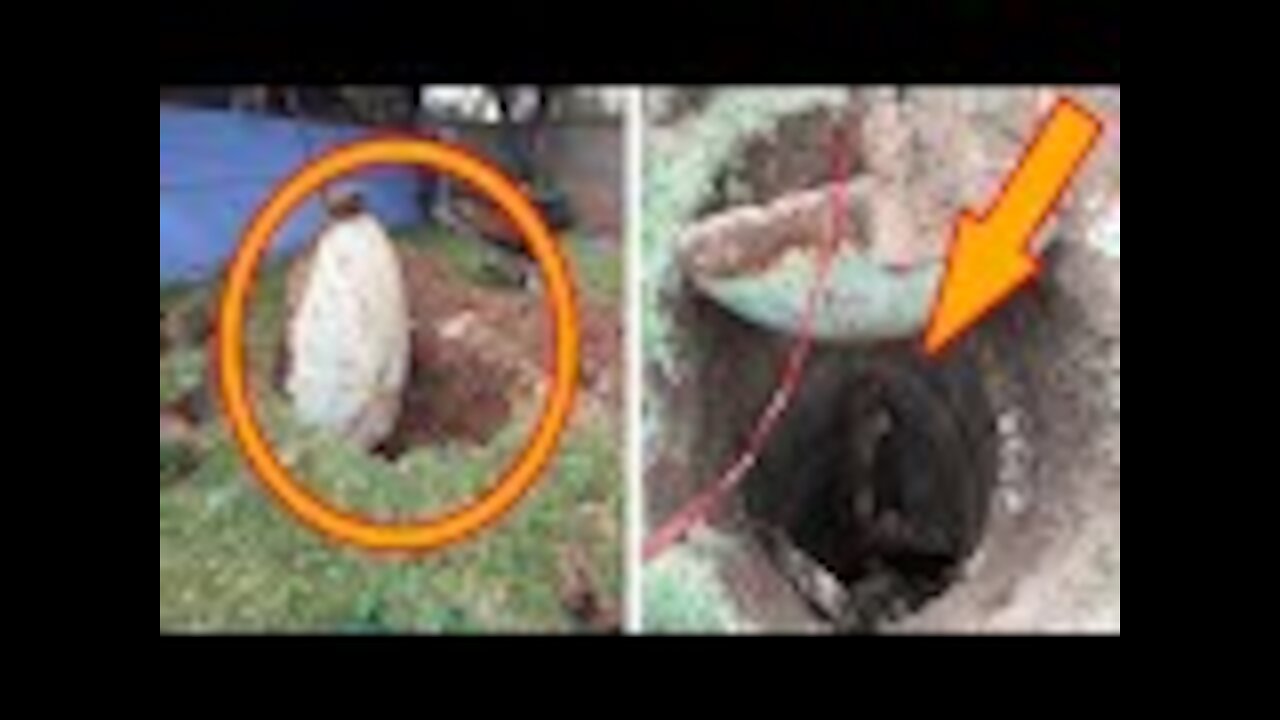 Homeowner Discovers Mysterious Hatch in Backyard, Digs to Learn What’s Inside