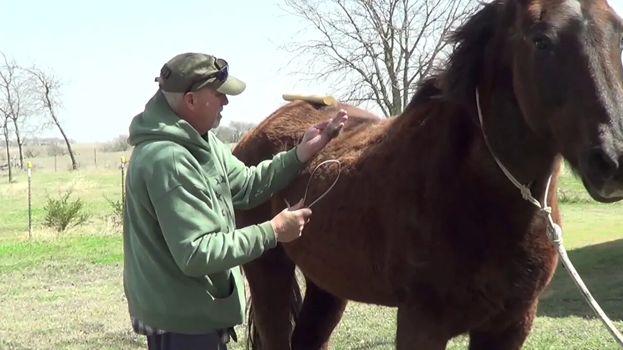 De Furring Horses & Cat - Removing Winter Fur & Hair - SleekEz Verses Rake/Blade