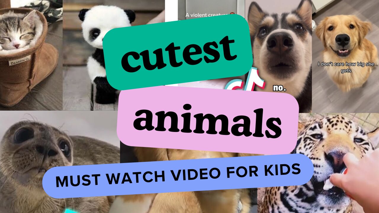 Cute Baby Animals Videos Compilation | Funny and Cute Moment of the Animals