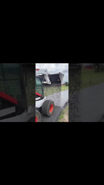 funny|prank|jokes|funny jokes|dad jokes|funny memes|funny video|fun|laughing|funny animal|knock