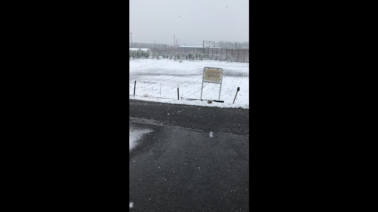 snowfall 横浜市