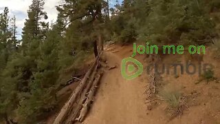 2022 Riding Around - vlog #15 - Got wood?