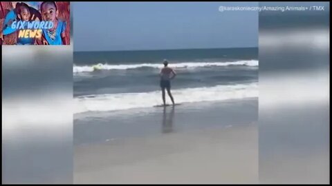 Sharks spotted in shallow water at Neptune Beach Florida