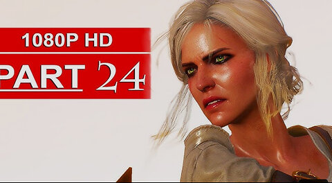 THE WITCHER 3 PART 24